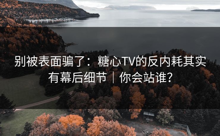 别被表面骗了：糖心TV的反内耗其实有幕后细节｜你会站谁？